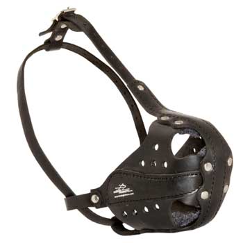 Collie Muzzle for Attack Training