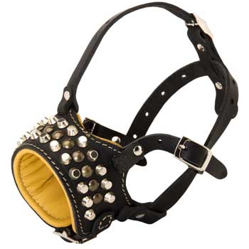 Adjustable Leather Collie Muzzle with Studs for Walking Dog 