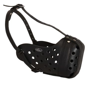 Training Leather Dog Muzzle for Collie