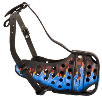 Collie Muzzle for Walking and Training