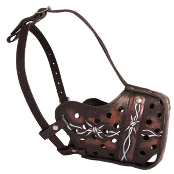 Training Leather Collie Muzzle with Perfect Ventilation