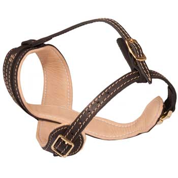 Collie Muzzle Leather Easy Adjustable with Quick Release Buckle