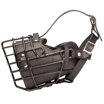 Leather Collie Muzzle Padded Metal Basket