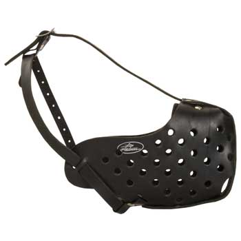 Safe Leather Muzzle for Collie Walking