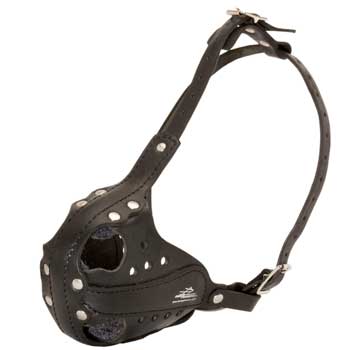 Sof Leather padded Collie Muzzle